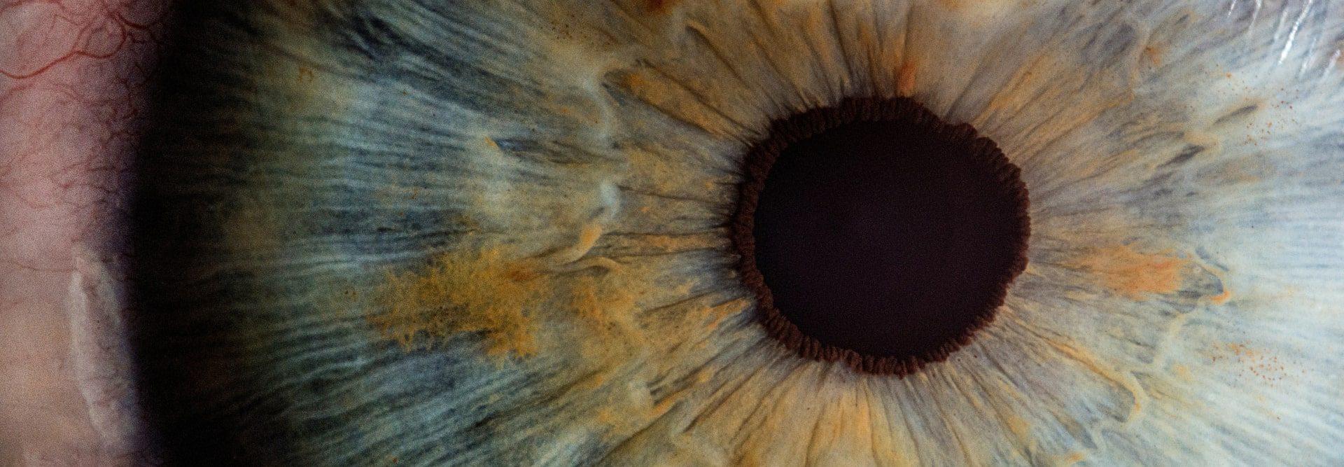 A close up image of a human eye.