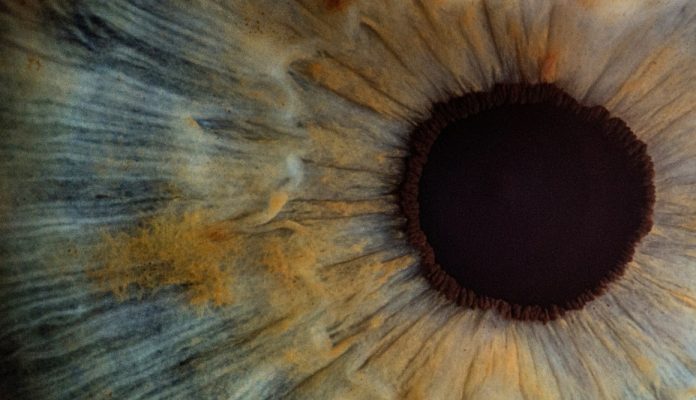 A close up image of a human eye.